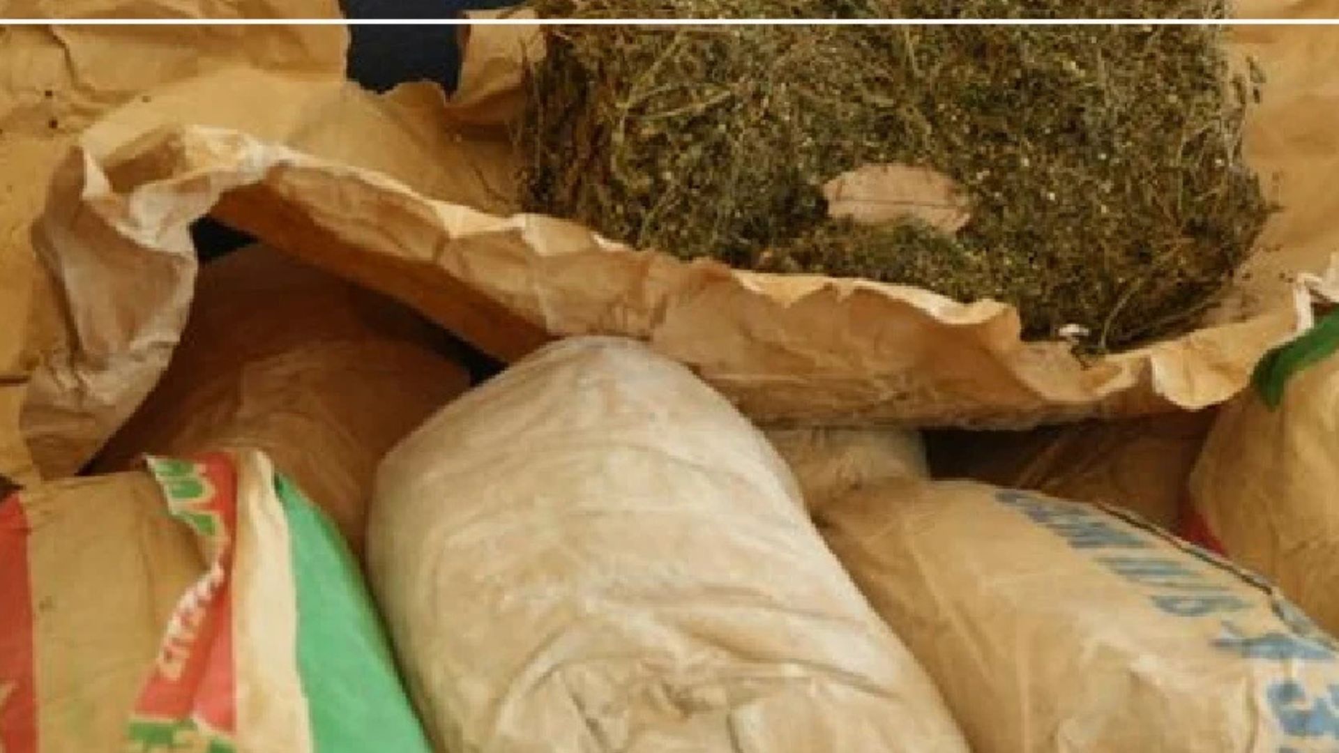 Saisie de six kilos de chanvre indien à Ziguinchor : quatre arrestations en deux jours
