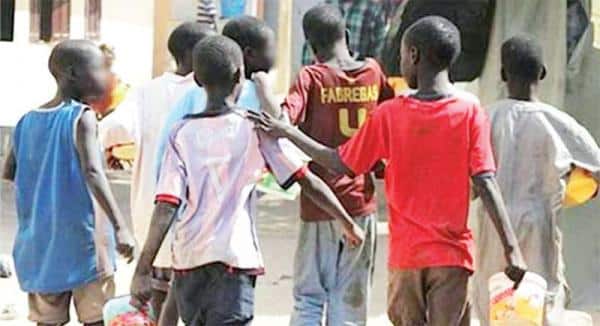 Thiénaba : l’affaire des talibés décédés après avoir consommé une plante avance Thiénaba : l’affaire des talibés décédés après avoir consommé une plante avance