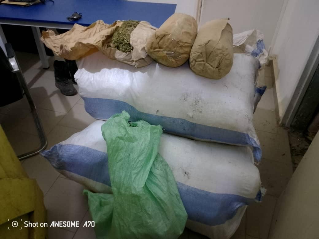 Trafic de bois : la Gendarmerie frappe fort à Darou Salam pour enrayer la déforestation