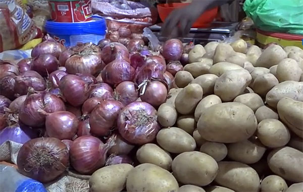 Sénégal :  L’Etat suspend temporaire des ventes d’oignons et de pommes de terre issues de l’agrobusiness