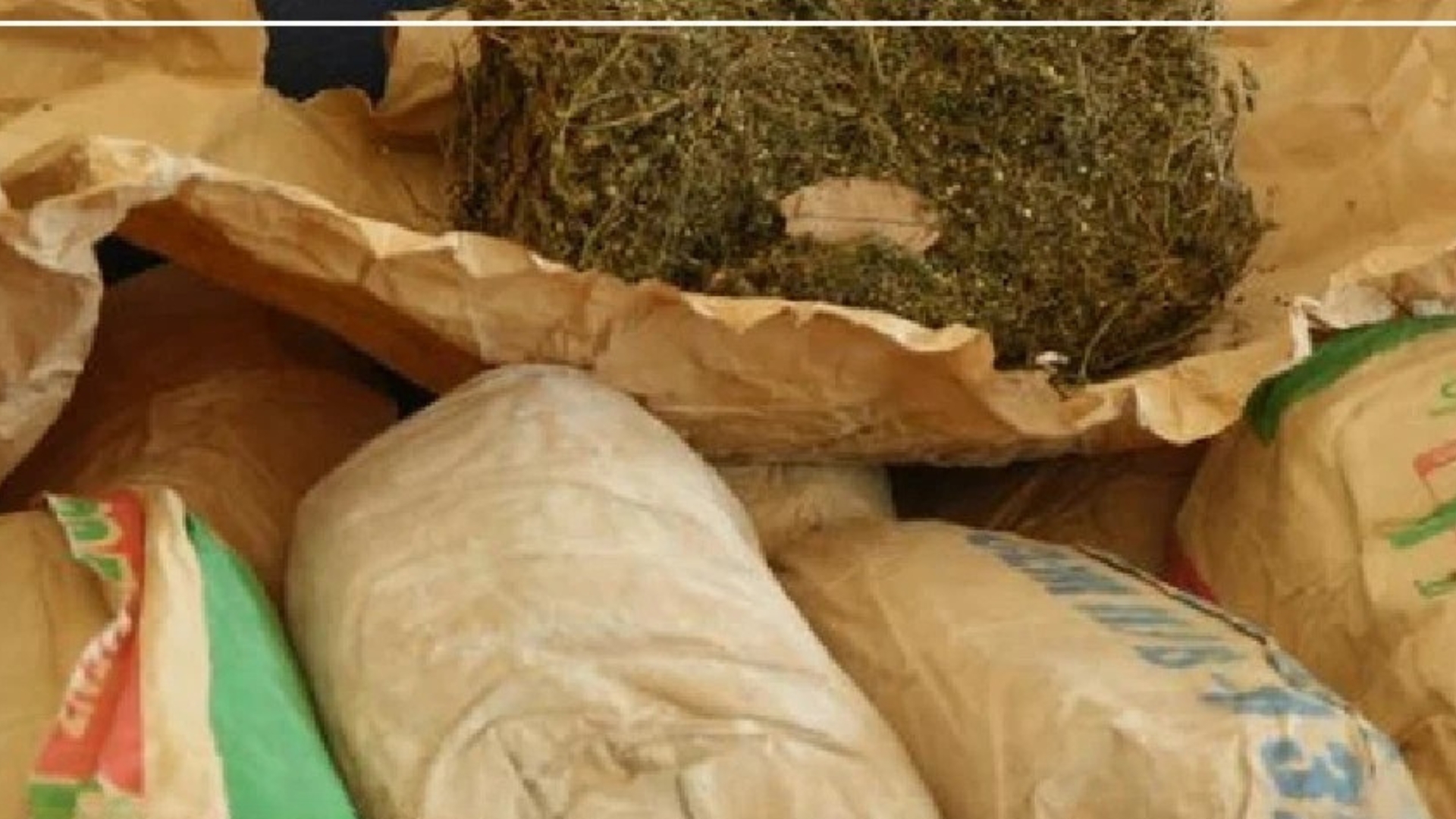 Deux saisies distinctes de chanvre indien à Ziguinchor : 11 kg interceptés par la police