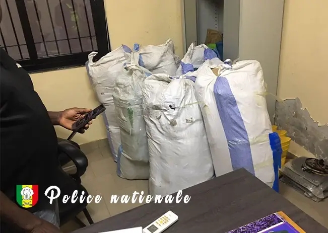 Plage de Ndayane : 192 kg de chanvre indien interceptés … Plage de Ndayane : 192 kg de chanvre indien interceptés …