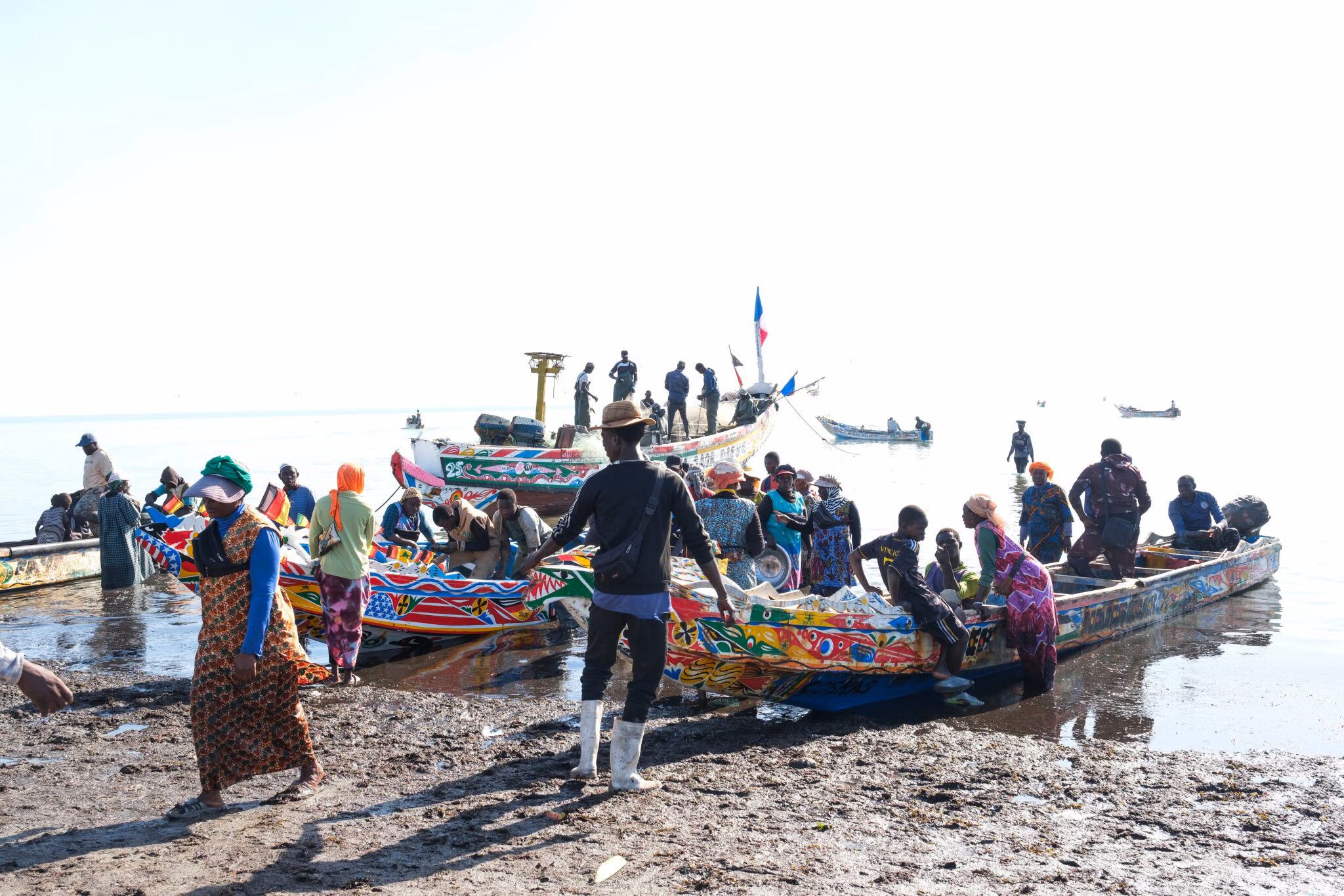 Sénégal : des poissons locaux transformés en farine pour nourrir les marchés européens