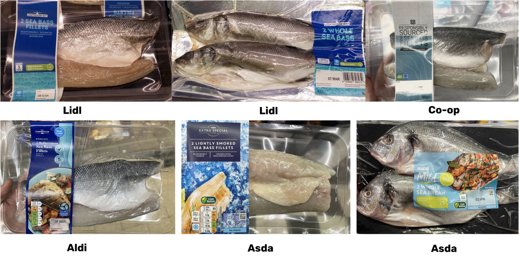 Sénégal : des poissons locaux transformés en farine pour nourrir les marchés européens