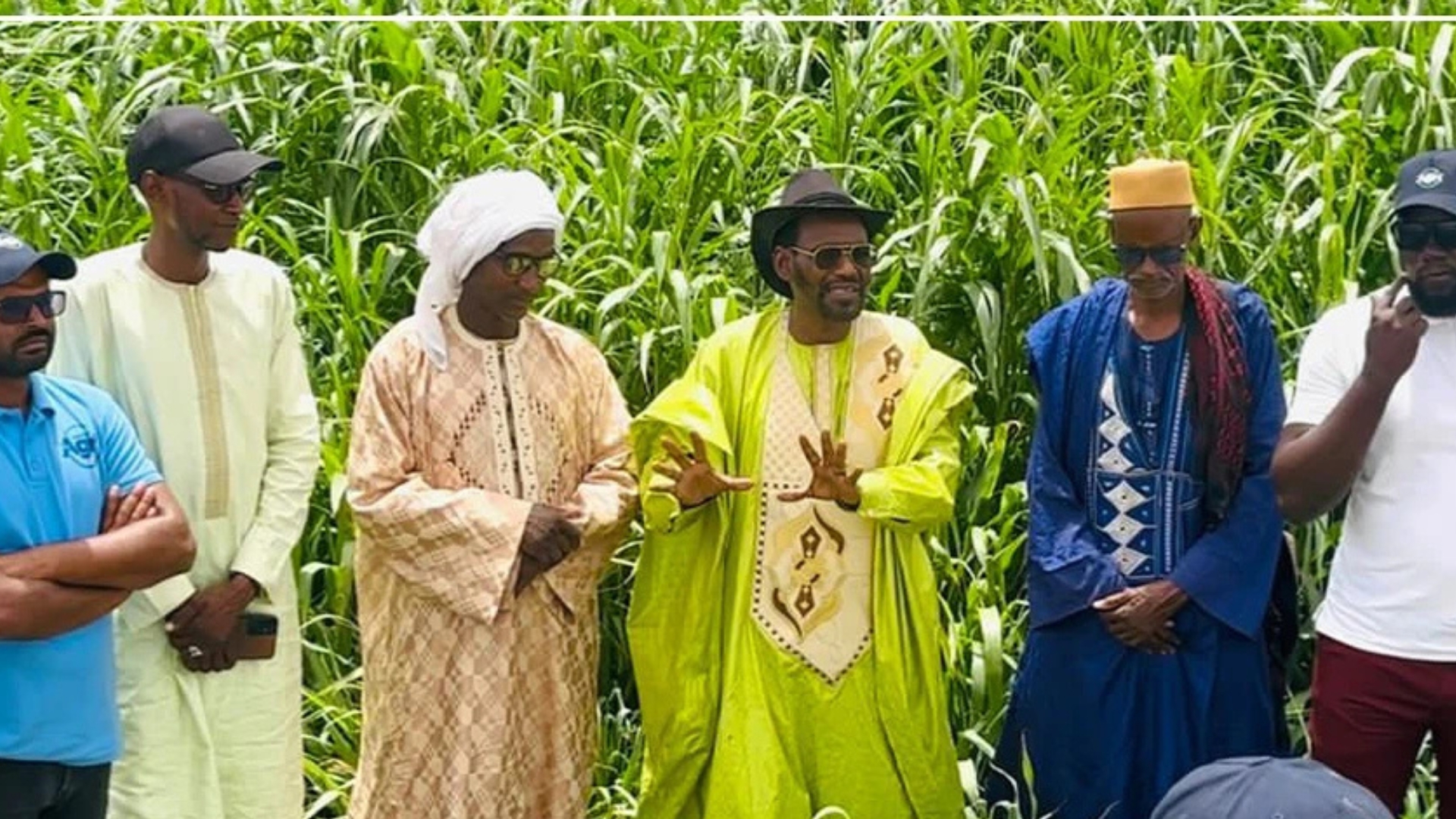 Dagana : Swami Agri soutient les éleveurs avec 200 hectares de fourrage bio en période de soudure