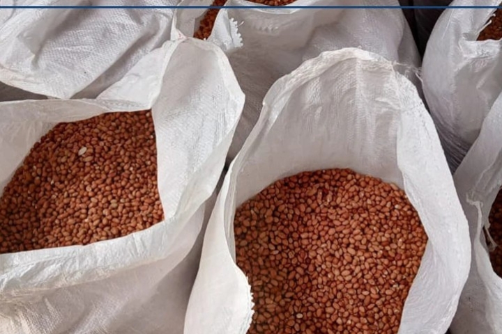 Tivaouane : la moitié des semences agricoles déjà livrée pour la campagne 2025