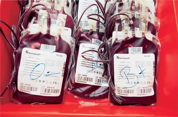Tambacounda : alerte sur une pénurie critique de sang à l’hôpital régional