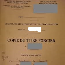 Thiès : un étudiant escroque plusieurs personnes en vendant le même terrain et prend la fuite avec 6 millions F CFA