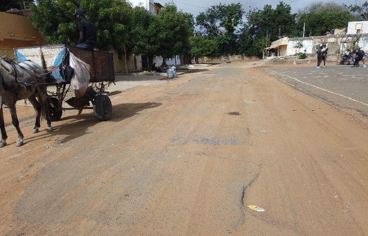 Thiès : Quand les charrettes d’âne remplacent les camions-bennes