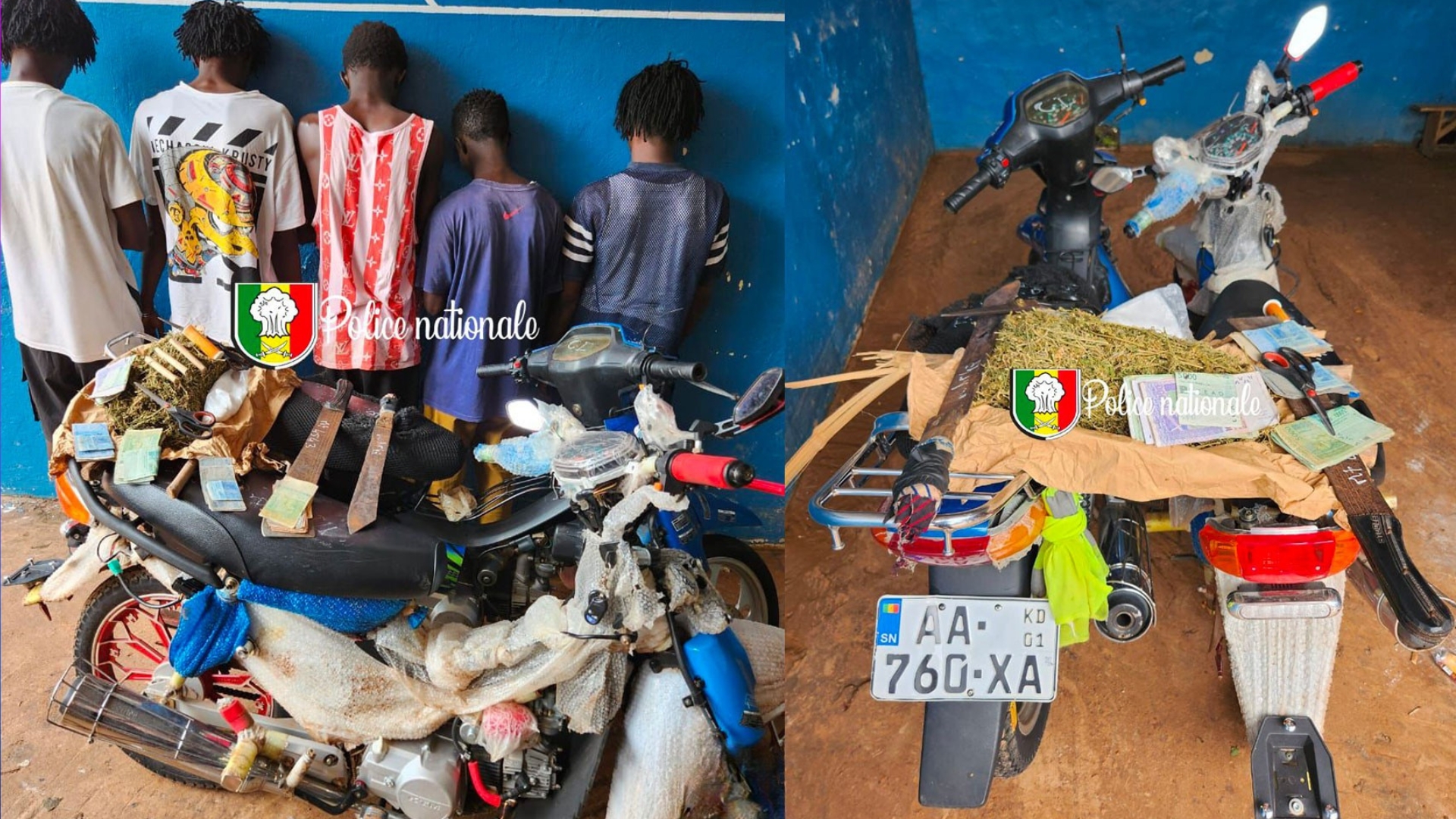 Kolda : Cinq arrestations pour trafic de ch@nvre indien et détention d’armes blanches Kolda : Cinq arrestations pour trafic de ch@nvre indien et détention d’armes blanches