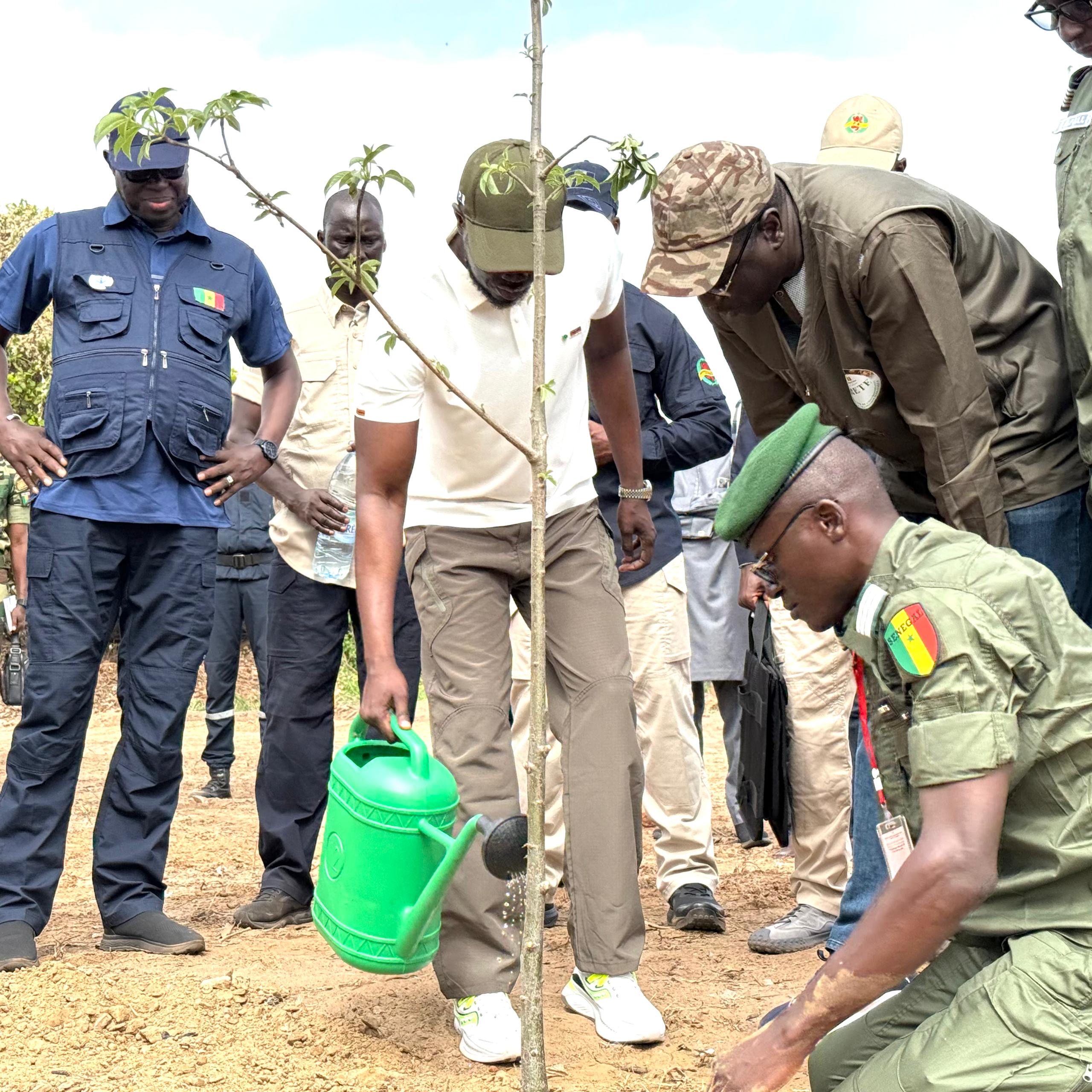 Lancement à Mbao : le Sénégal s’engage dans une vaste campagne de reboisement et d’action citoyenne