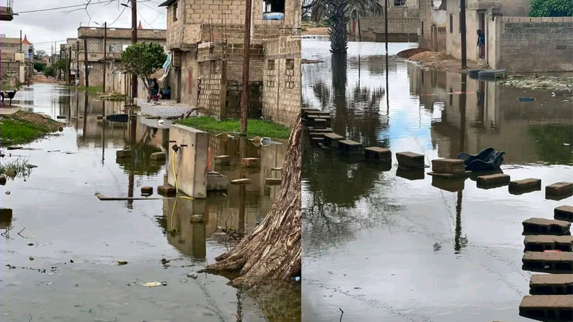 Kaolack : plus de 40 maisons inondées à Thioffack Bambara après de fortes pluies