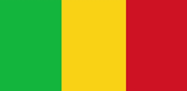 Mali : un Français et deux généraux accusés de complot subversif