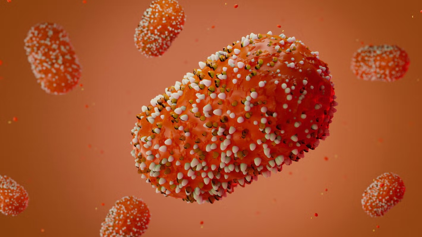 Kédougou : mesures préventives renforcées aux frontières contre le virus mpox Kédougou : mesures préventives renforcées aux frontières contre le virus mpox