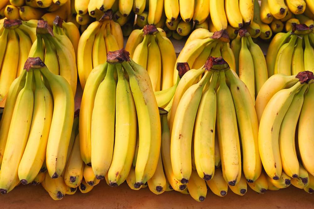 Campagne 2025 : suspension des importations de bananes dès septembre