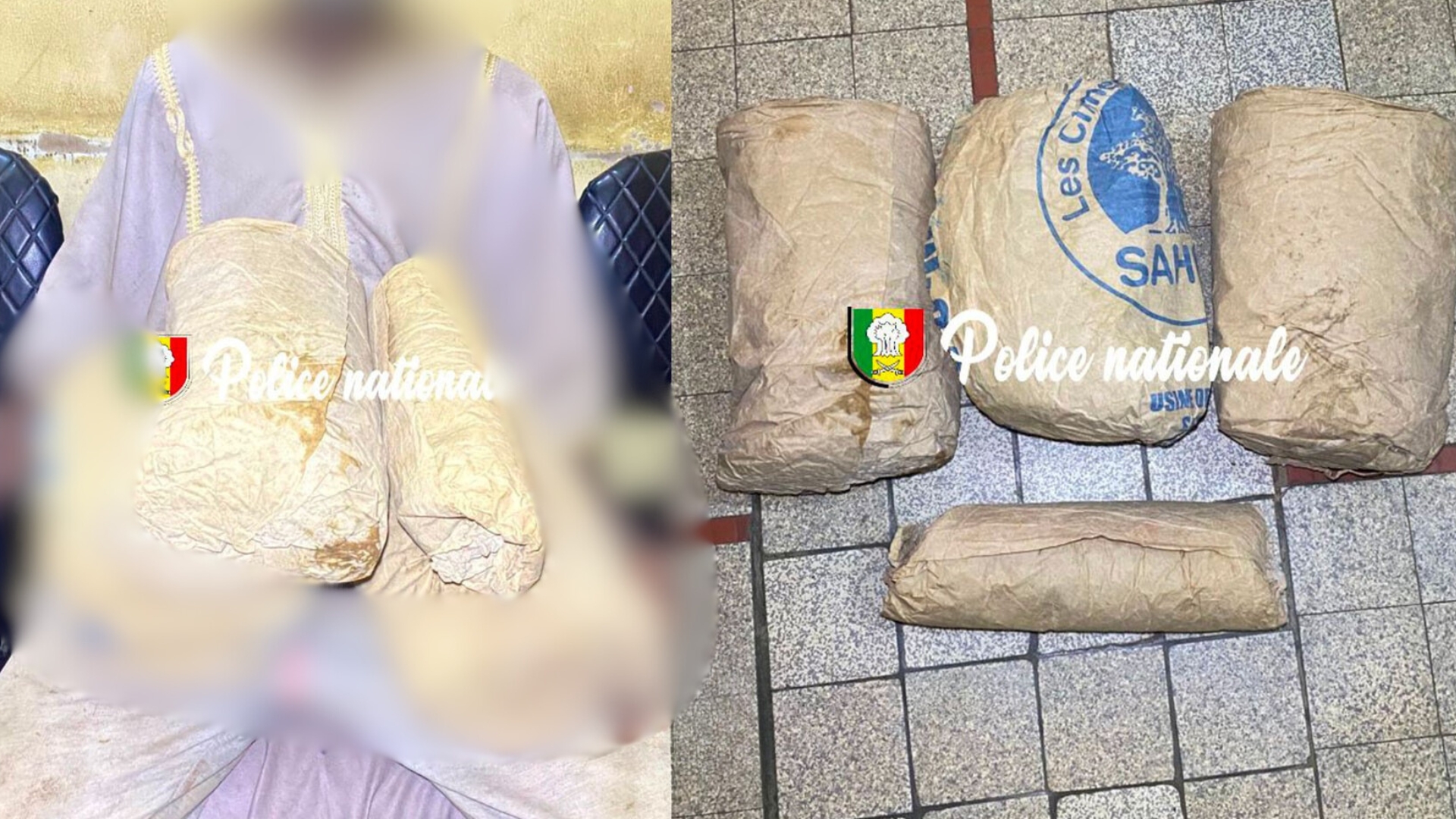 Kaolack : 3,6 kg de ch@nvre indien saisis dans la forêt de Thioyene Hamady Mala