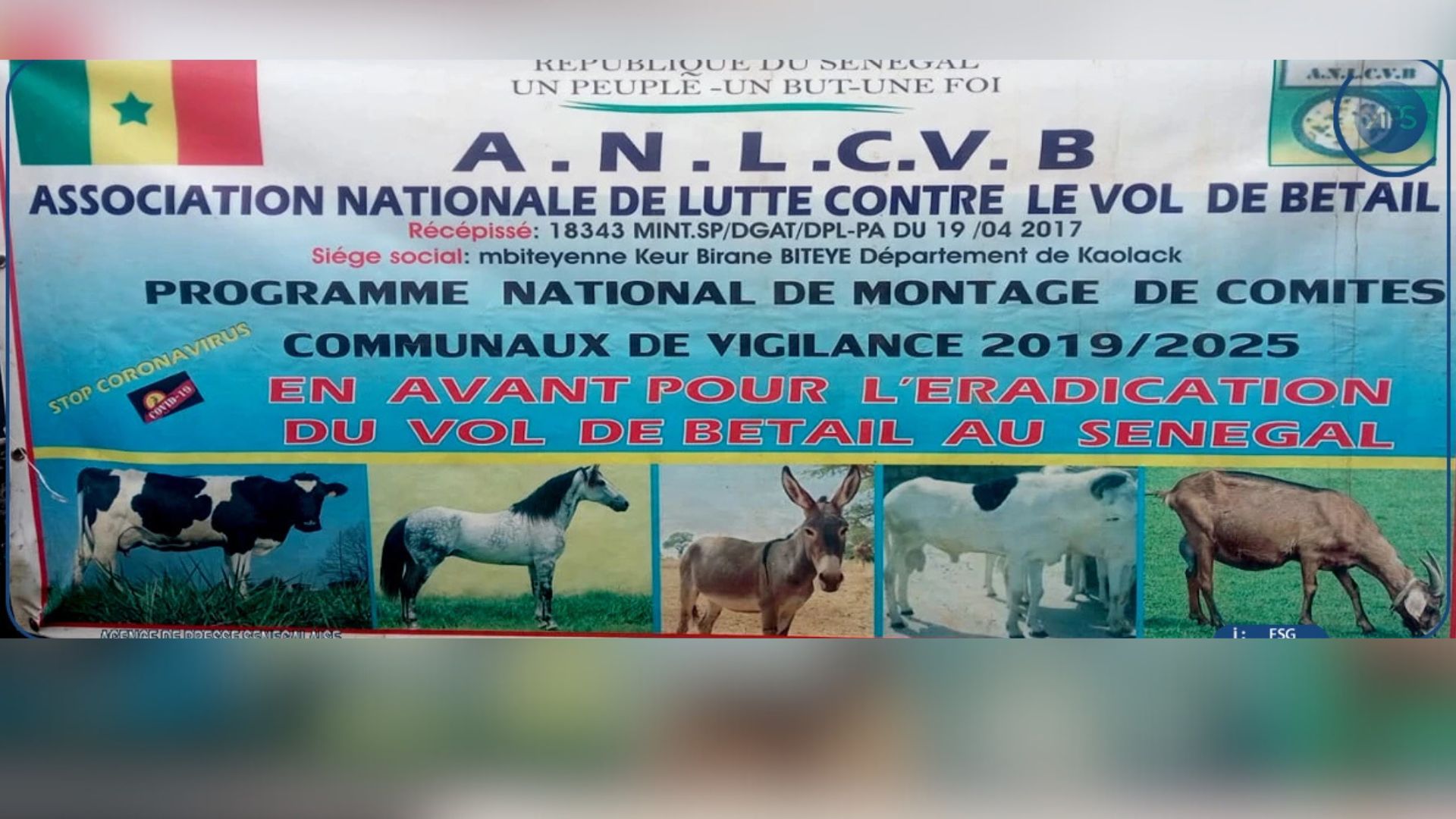 Sénégal : appel à une coopération avec la Guinée-Bissau pour lutter contre le vol de bétail