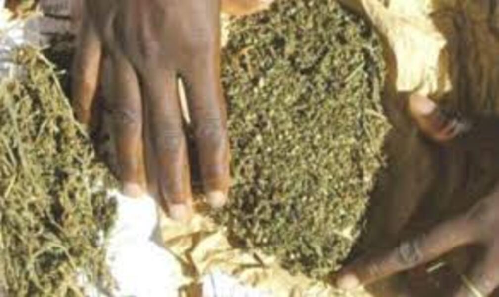 Trafic à Touba Trafic à Touba