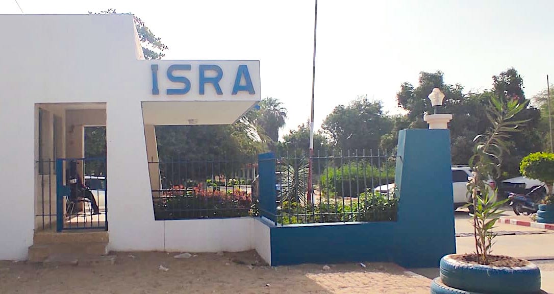 Le Sénégal dispose de 6,5 millions d’hectares de terres agricoles inexploitées, selon l’ISRA.