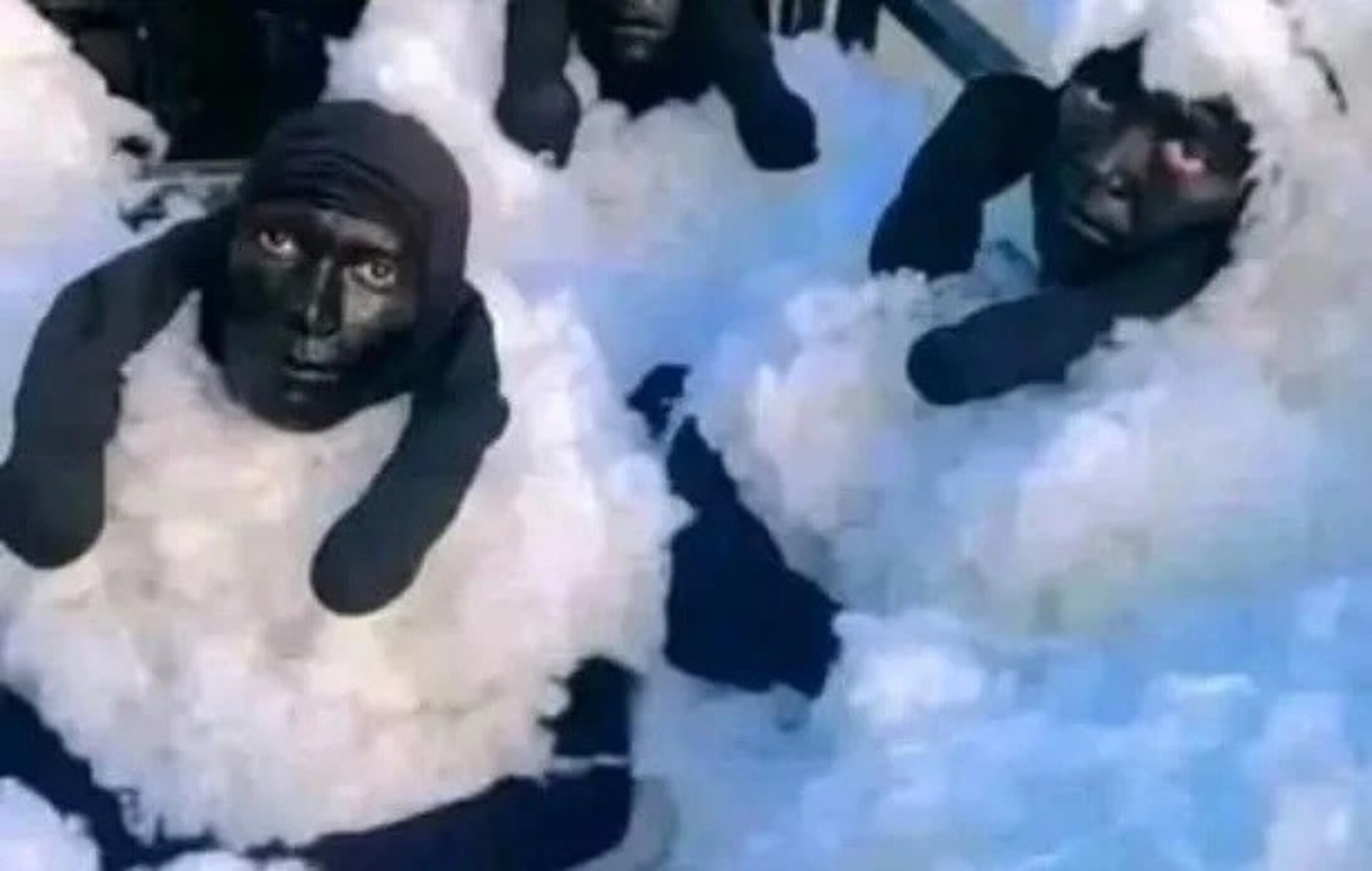 Tentative insolite : des migrants arrêtés déguisés en moutons