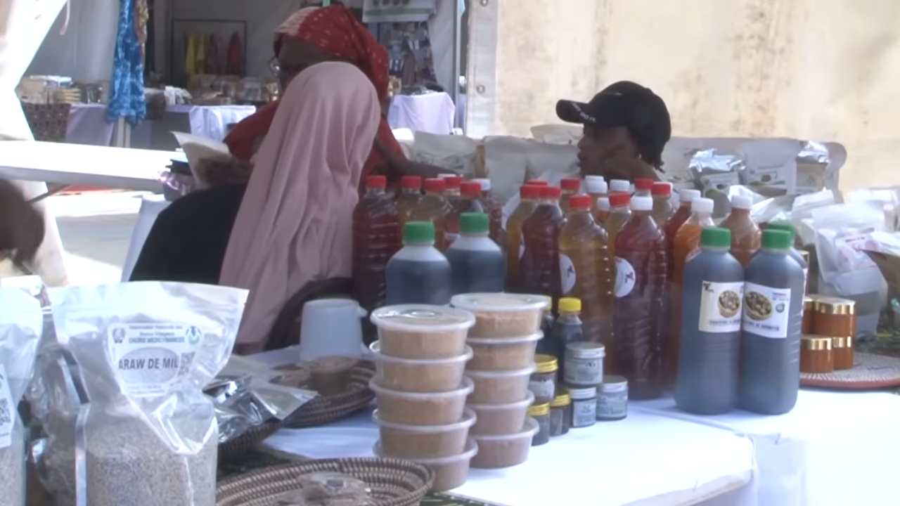 Foire Internationale de Thiès : Les Femmes Transformatrices exposent leurs Produits