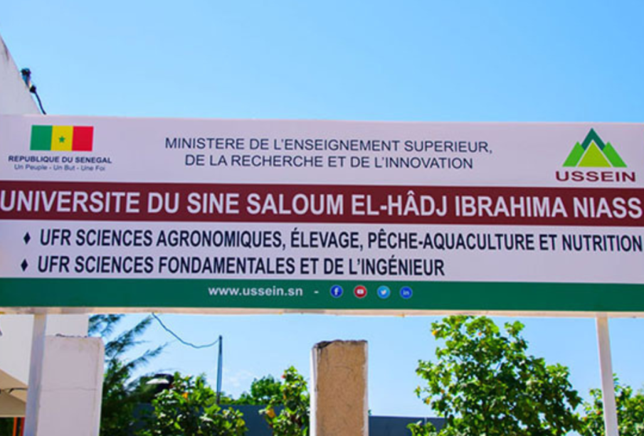 Université du Sine Saloum : les étudiants décrètent 48 heures de restauration gratuite pour dénoncer leurs conditions de vie
