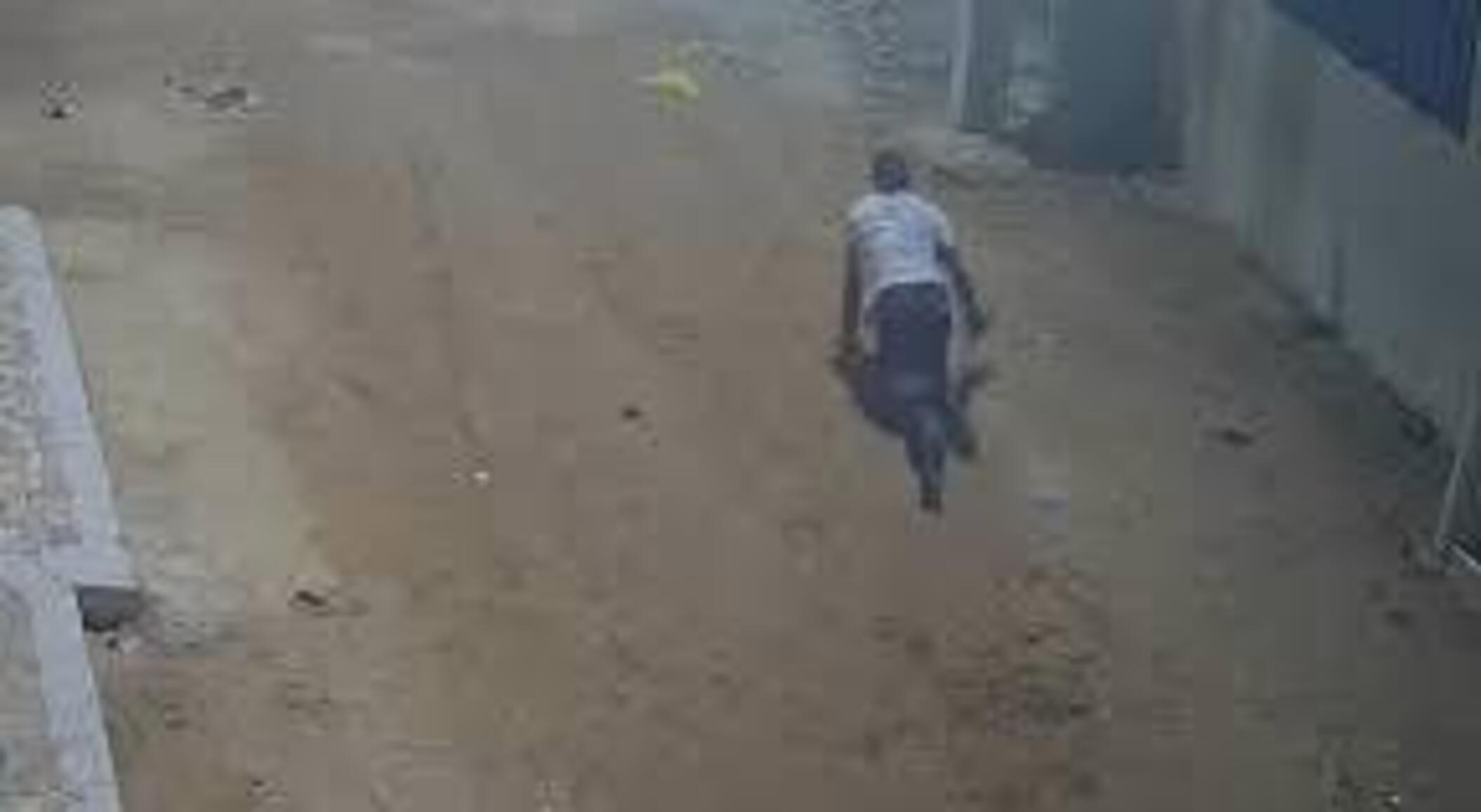 Caméra de surveillance : un cambrioleur chute du 2e étage… puis disparaît en rampant Caméra de surveillance : un cambrioleur chute du 2e étage… puis disparaît en rampant