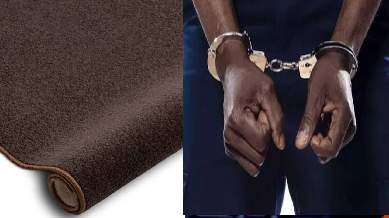 Carrefour : Un laveur de voitures vole une moquette après son licenciement et se retrouve devant la justice Carrefour : Un laveur de voitures vole une moquette après son licenciement et se retrouve devant la justice