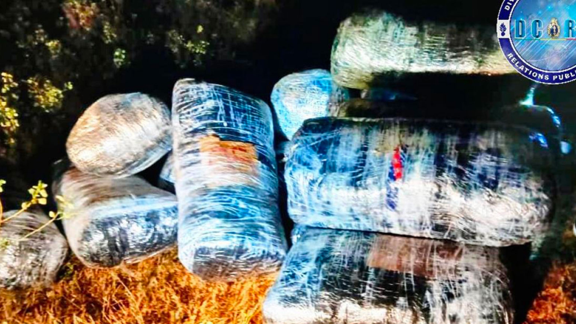 Fatick : saisie de plus de 500 kg de substances interdites à Pethie Makha