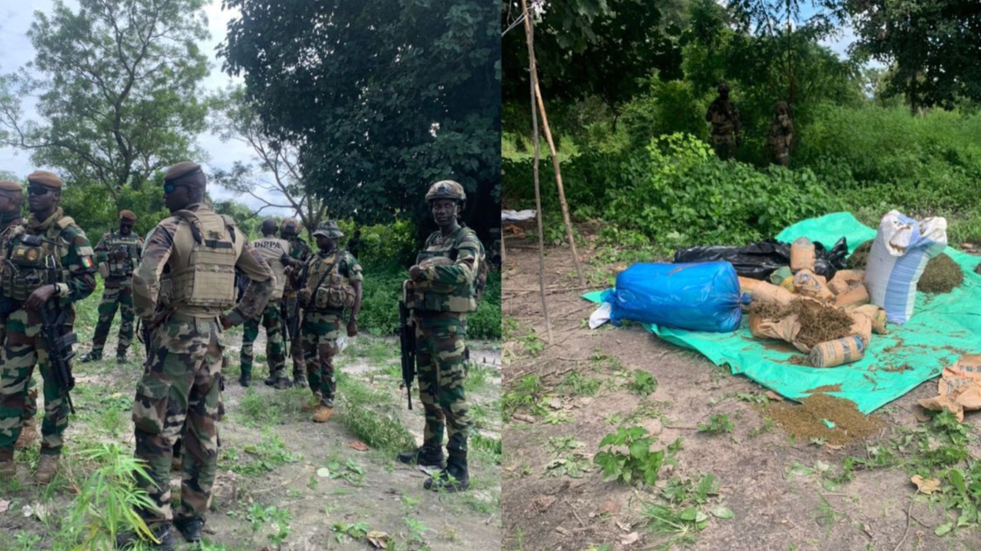 Importante saisie de produit prohibé par la BT Fimela de la Compagnie de Gendarmerie  à Soudiane Sérère