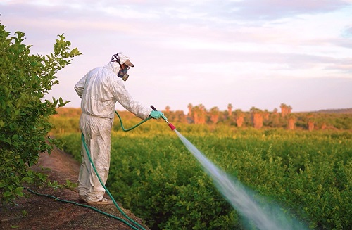 "Aucun respect pour la vie humaine en Afrique"