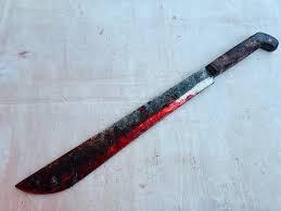 Il voulait conduire les bœufs au chef du village, le berger le surprend à la machette