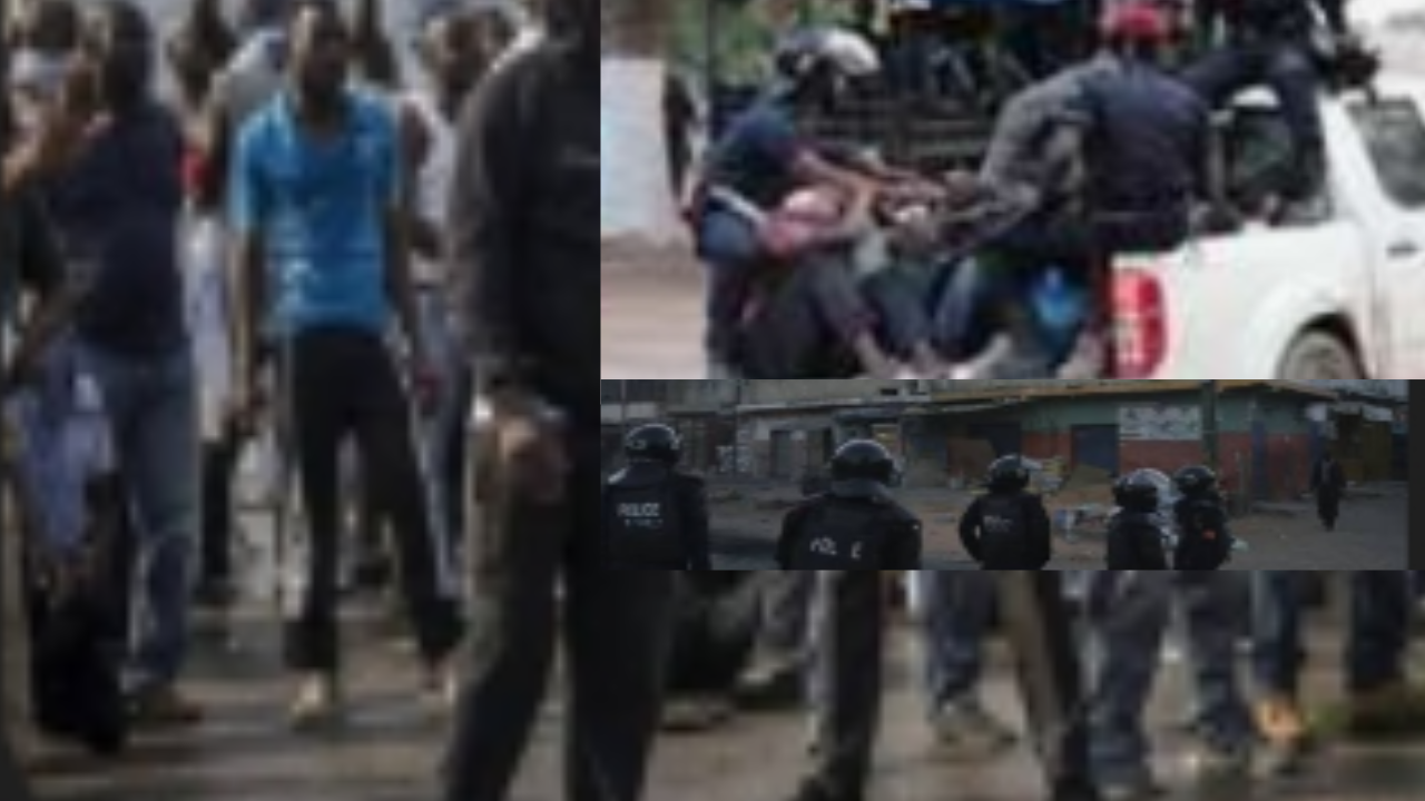 Mbacké : coup de filet spectaculaire, le gang d’Ibou Diba démantelé avec un arsenal d’armes Mbacké : coup de filet spectaculaire, le gang d’Ibou Diba démantelé avec un arsenal d’armes