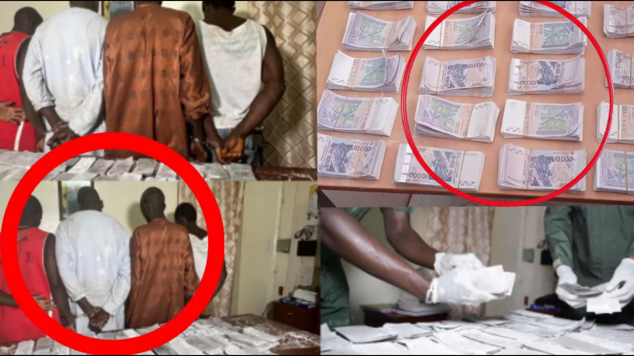 Keur Massar : un réseau de trafiquants de drogue démantelé, trois Bissau-Guinéens arrêtés avec 25 kg de cocaïne et autres produits illicites Keur Massar : un réseau de trafiquants de drogue démantelé, trois Bissau-Guinéens arrêtés avec 25 kg de cocaïne et autres produits illicites