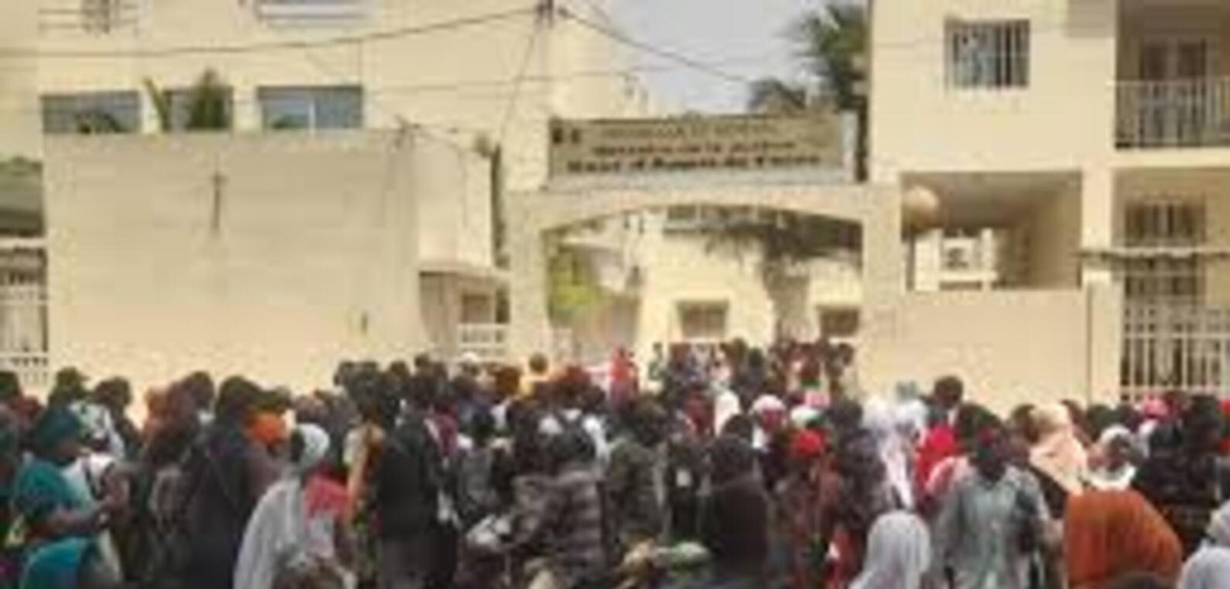 THIÈS : il promettait des bœufs importés de France, un vétérinaire condamné