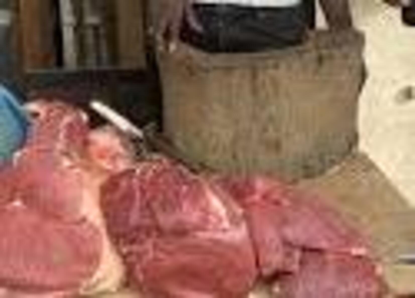 Abattage clandestin à Golf Sud : un suspect en flagrant délit Abattage clandestin à Golf Sud : un suspect en flagrant délit