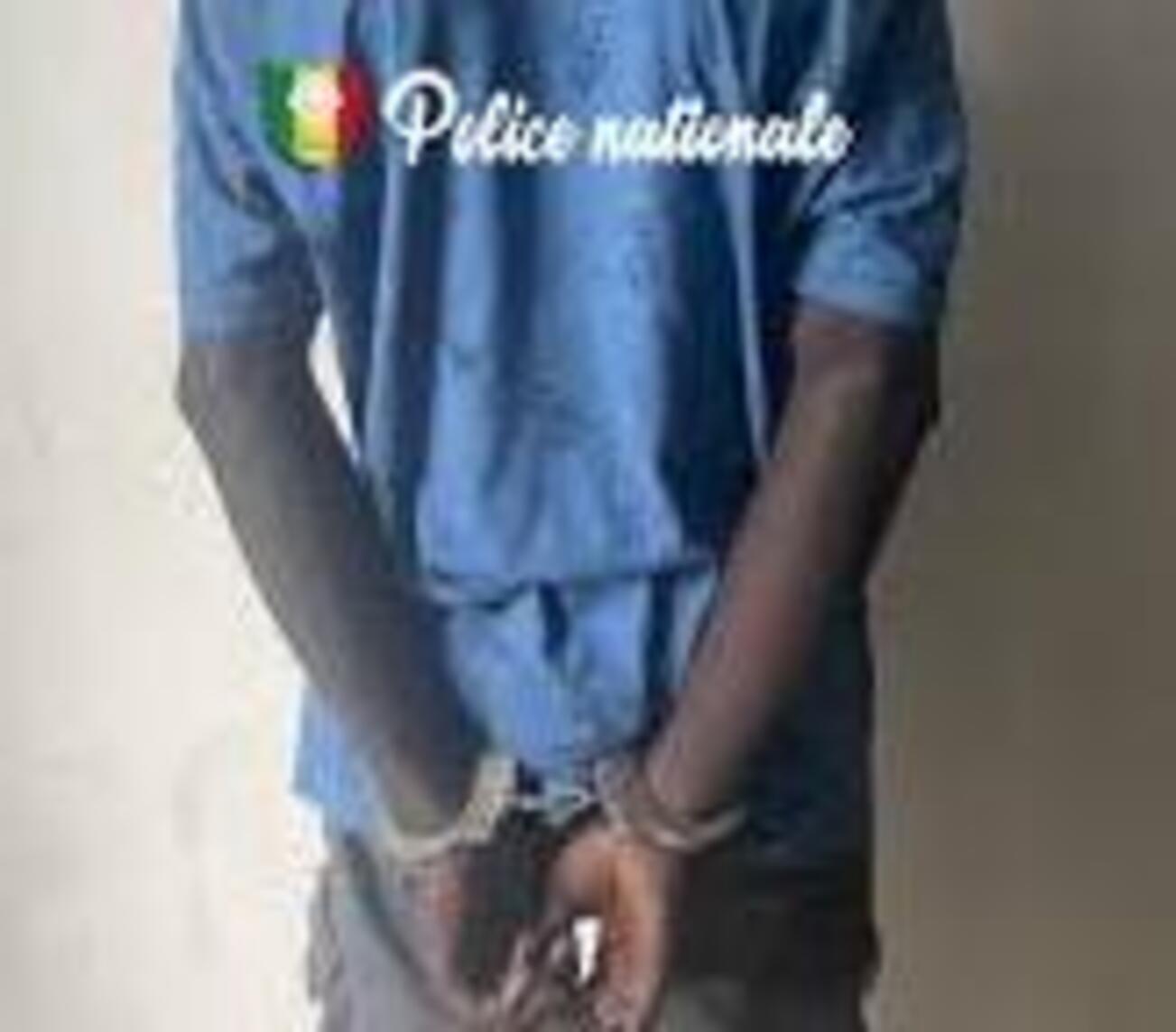 Livraison de chanvre déjouée à Bignona : un tailleur sous mandat de dépôt Livraison de chanvre déjouée à Bignona : un tailleur sous mandat de dépôt