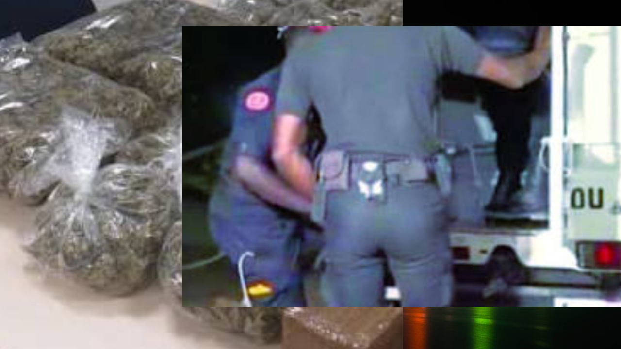 Kaolack : deux individus arrêtés dans un important coup de filet anti-drogue