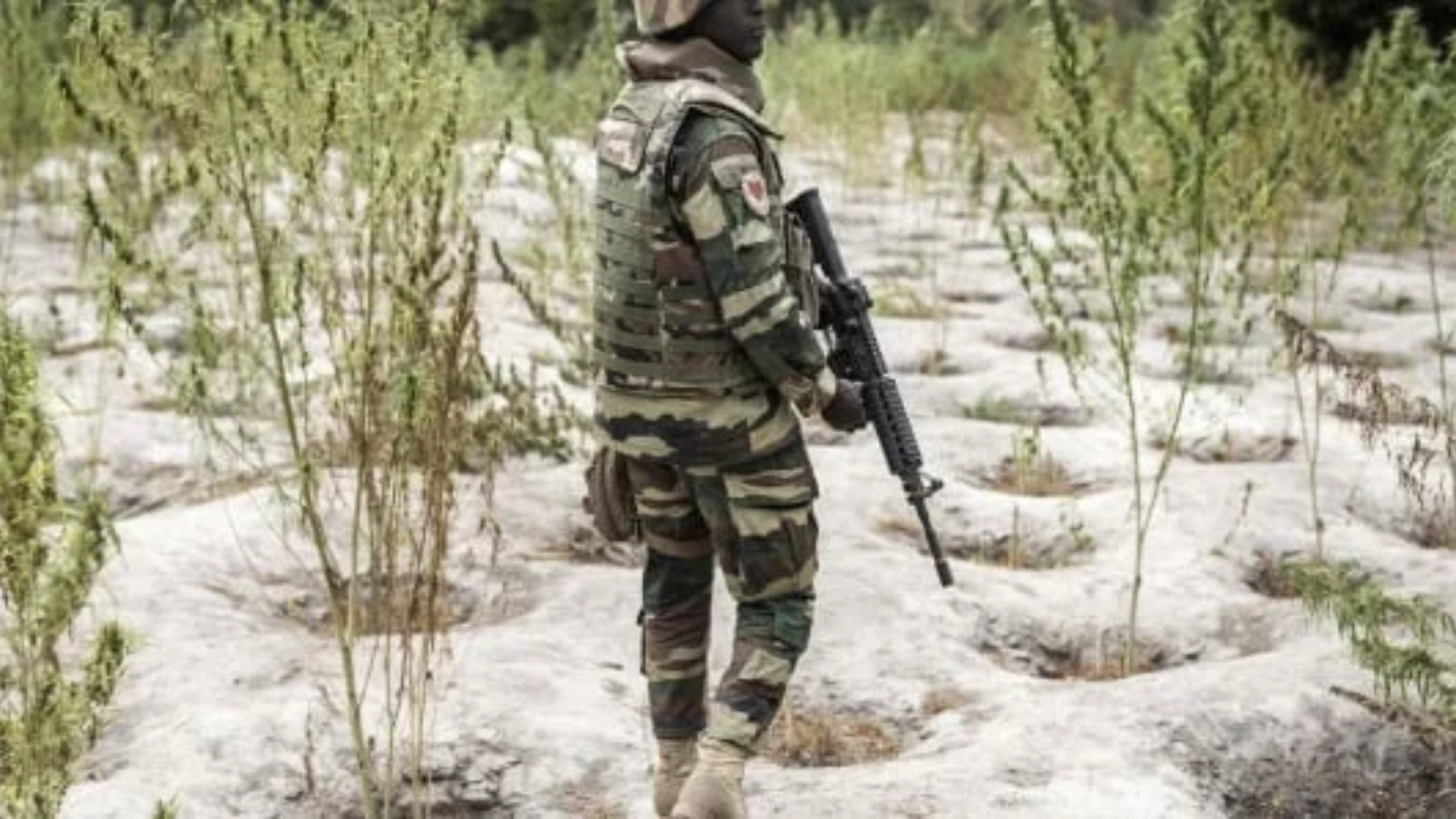 MINUSCA : un militaire sénégalais tué et sept blessés dans un accident en Centrafrique