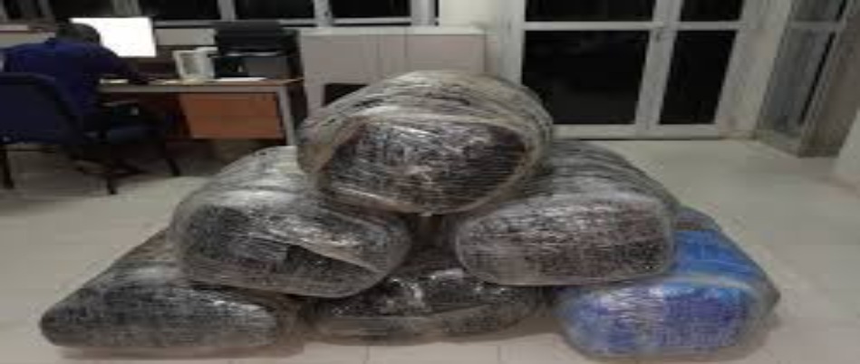 Ngazobil : 170 kg de chanvre indien saisis après chavirement d’une pirogue Ngazobil : 170 kg de chanvre indien saisis après chavirement d’une pirogue