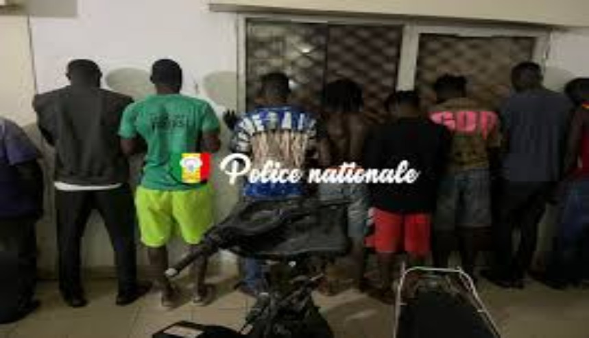 Brigade régionale des stupéfiants de Kédougou : Quatre individus arrêtés pour trafic de chanvre indien à Saraya Brigade régionale des stupéfiants de Kédougou : Quatre individus arrêtés pour trafic de chanvre indien à Saraya