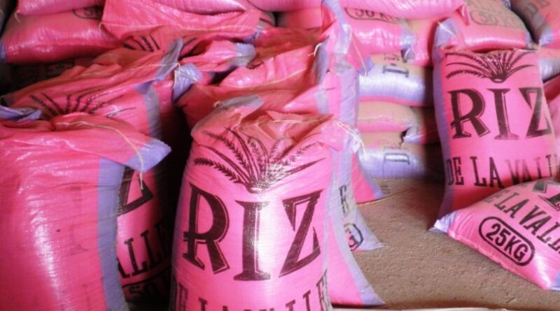 Riz local : de nouvelles mesures annoncées pour soutenir la production nationale au Sénégal Riz local : de nouvelles mesures annoncées pour soutenir la production nationale au Sénégal