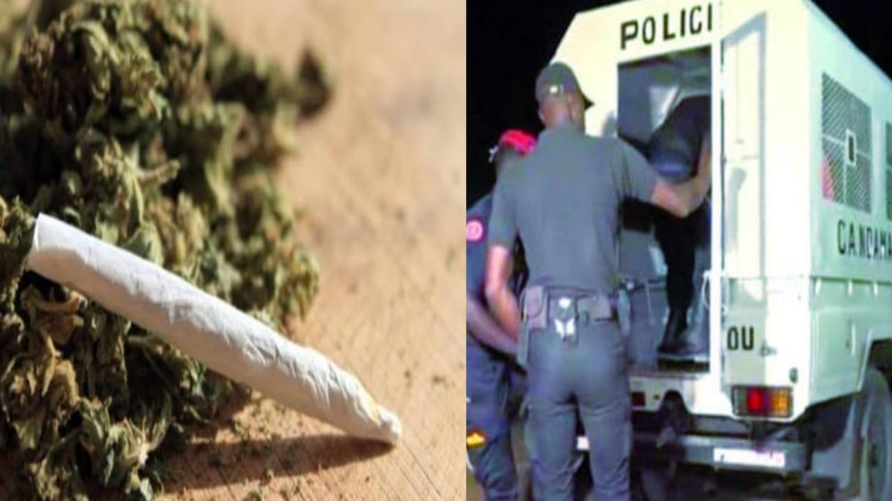 Thiès : dispute familiale et consommation de chanvre indien devant la justice Thiès : dispute familiale et consommation de chanvre indien devant la justice