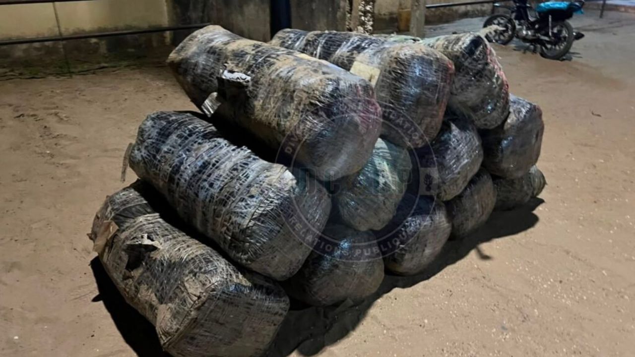 Joal : la gendarmerie saisit 360 kg de chanvre indien lors d’une opération nocturne