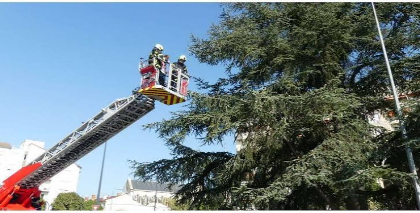 Thiès : un homme de 60 ans échappe au pire après une chute évitée de justesse