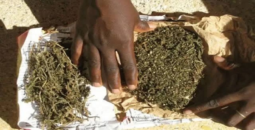 Nguinth : trois suspects interpellés avec 4 kg de chanvre indien