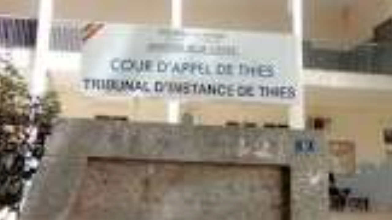 Conflit entre éleveur et cultivateurs à Thiès : un affrontement fait un blessé au bras et un autre avec un doigt sectionné