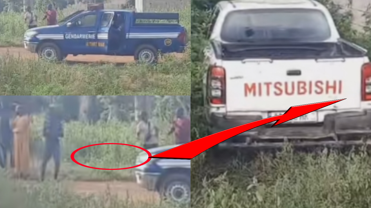 Cambriolage de l’IMCEC : des malfaiteurs armés échangent des tirs avec les gendarmes à Mbirdiam