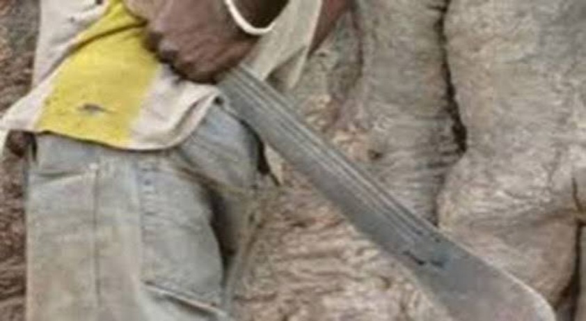 Gassane : un couple, dont une femme enceinte, grièvement blessé lors d’une attaque attribuée à des voleurs de bétail Gassane : un couple, dont une femme enceinte, grièvement blessé lors d’une attaque attribuée à des voleurs de bétail