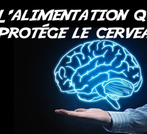 Protéger son cerveau par l'alimentation : une arme contre la maladie d'Alzheimer